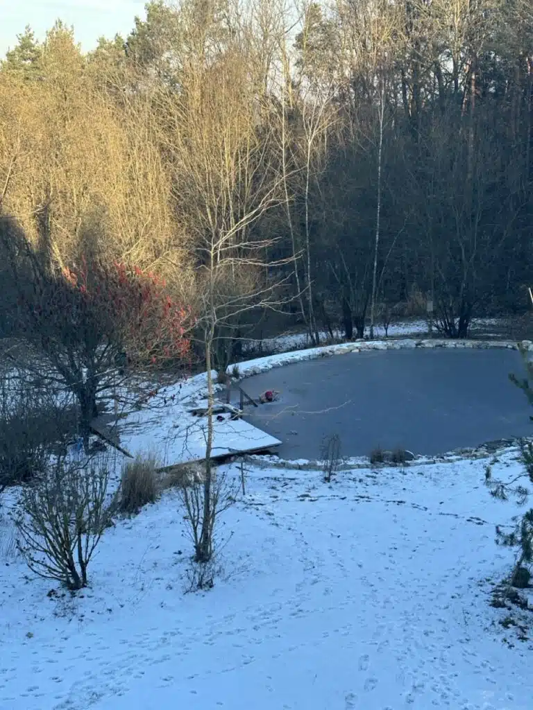 Eisbaden im Teich des Weltenhofes ... viel frischer wird es nicht. Das Eis wird täglich frisch aufgehackt bei Minusgraden.