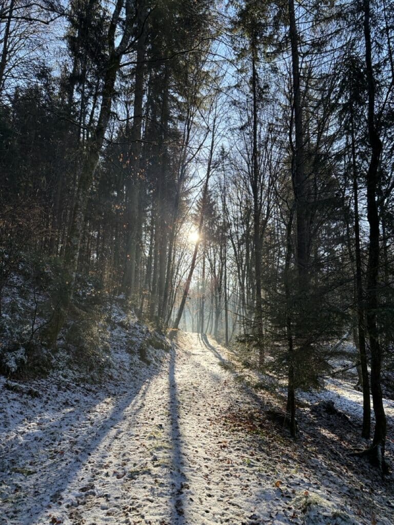 winterliche Waldstimmung am Weltenhof
