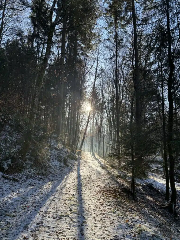 winterliche Waldstimmung am Weltenhof