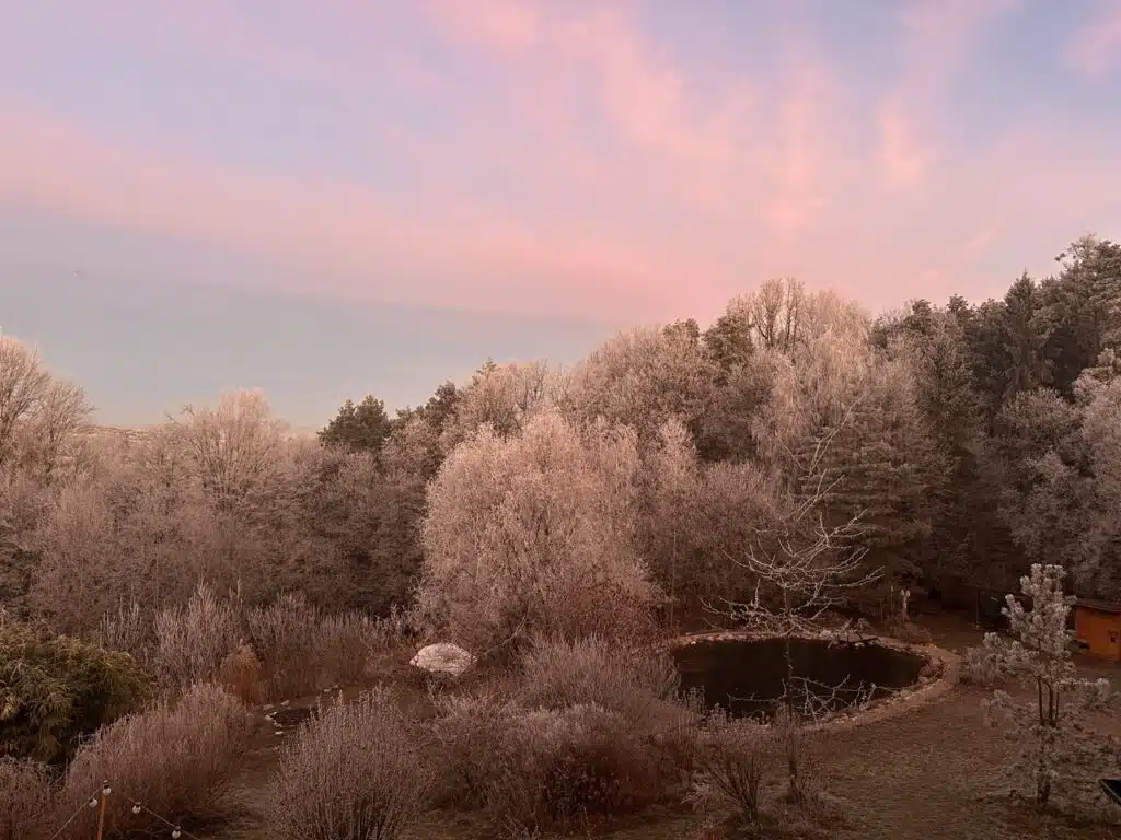Morgendlicher Frost am Teich des Weltenhofes. Stimmungsvoll in Rosa und Hellblau