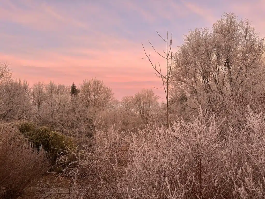 hellblau rosa Morgenstimmung mit Frost am Weltenhof