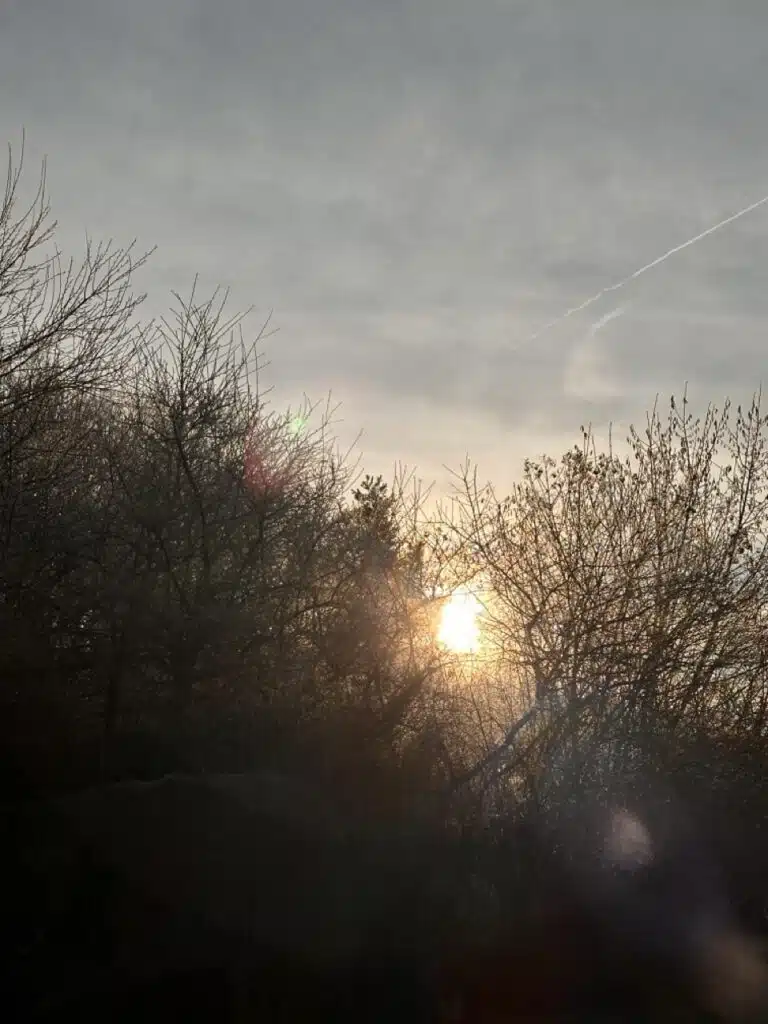 Aufgehende winterliche Morgensonne am Weltenhof im Südburgenland