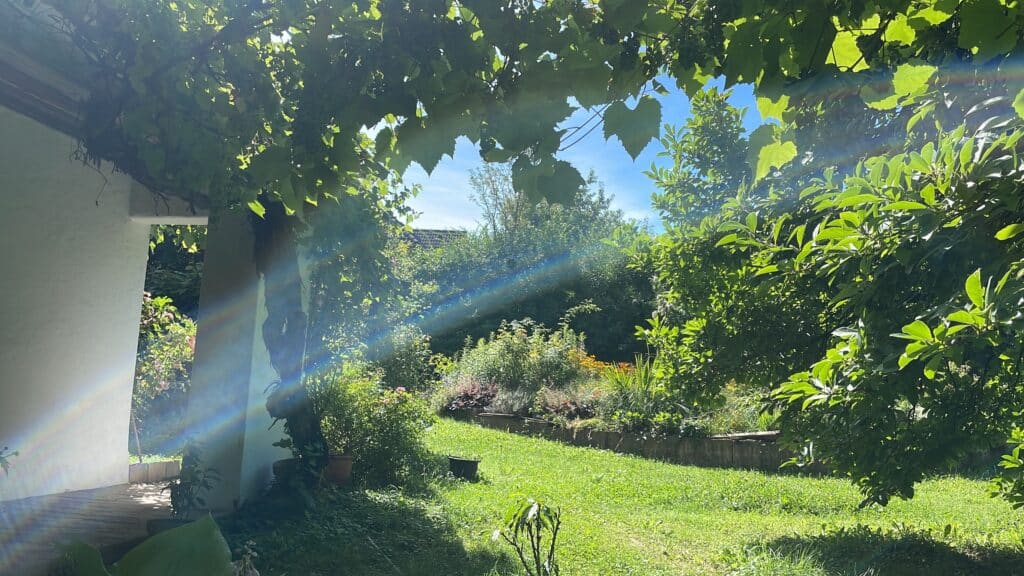 Unterm Uhudler Weinstock auf der Südterrasse am Weltenhof ists an heißen Sommertagen lauschig. Der ideale Ort zum Rumsitzen, lesen und lauschen