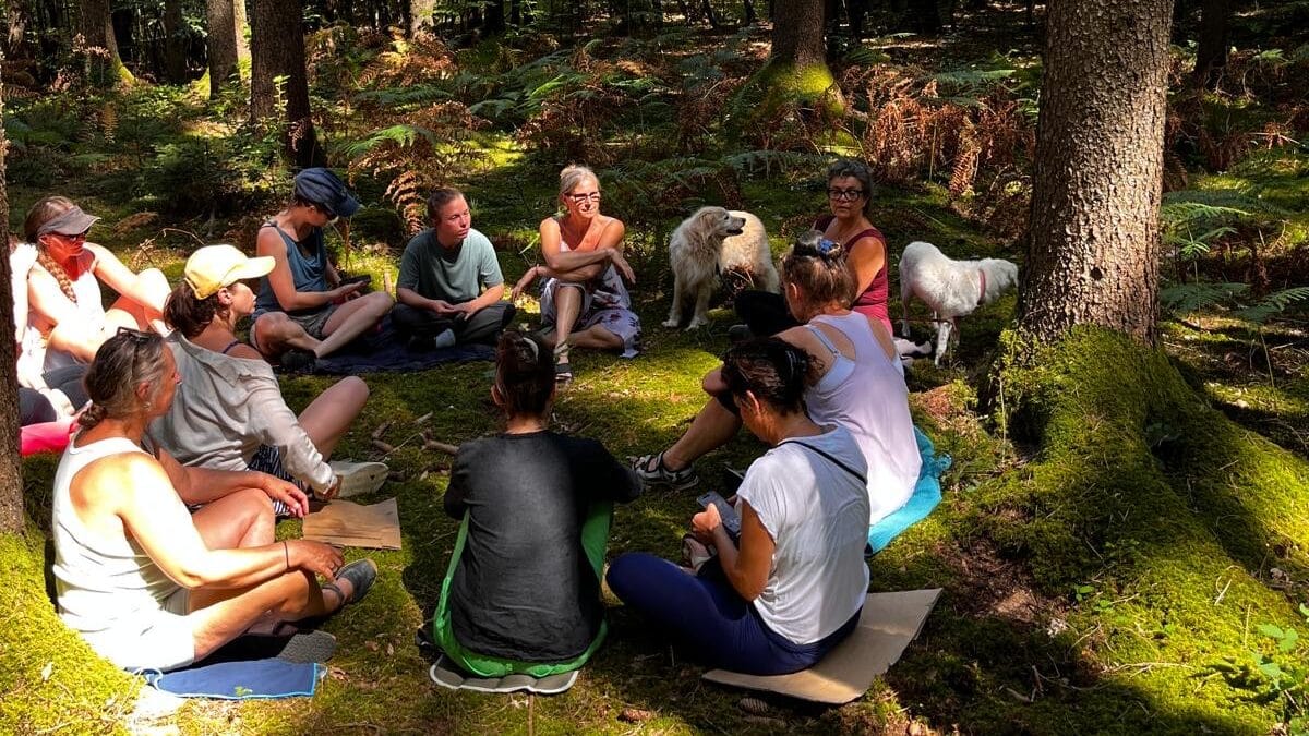 Waldzeit und Redekreise im Wald erden uns und verbinden uns mit dem Wesentlichen in uns.