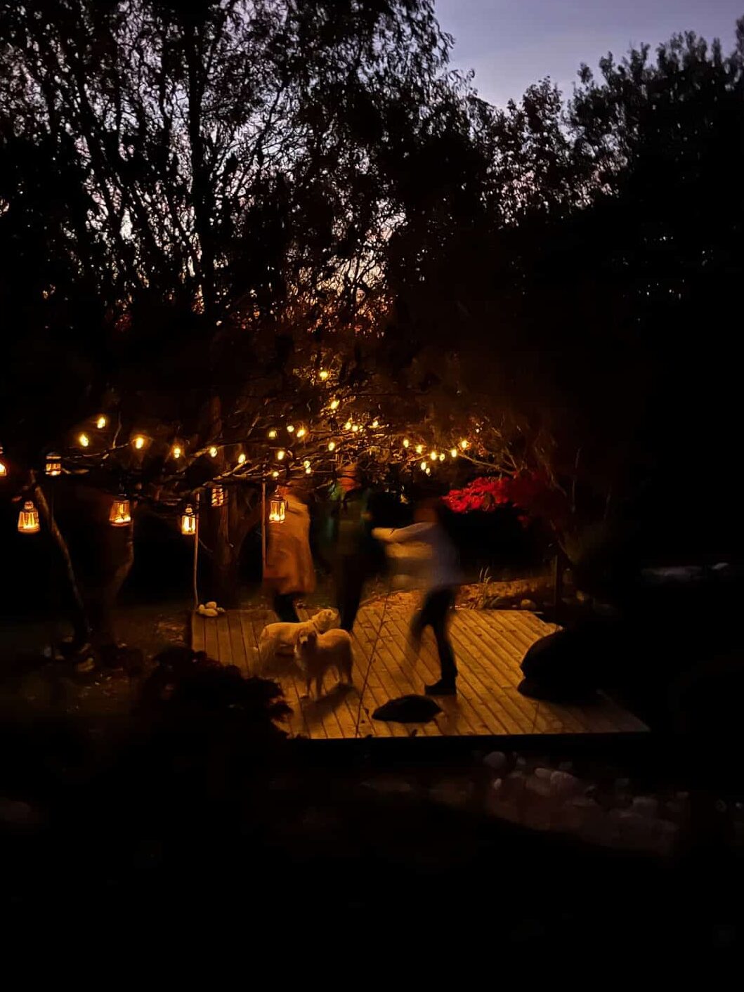 Lichterkette am Ahnenbaum für das Retreat am Weltenhof